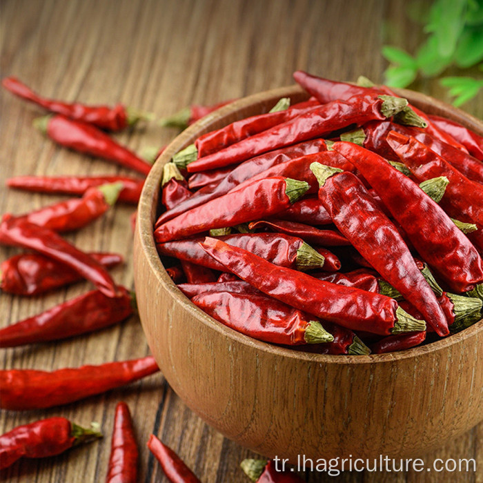 Toptan fiyat yüksek kaliteli kırmızı biber sichuan baharat